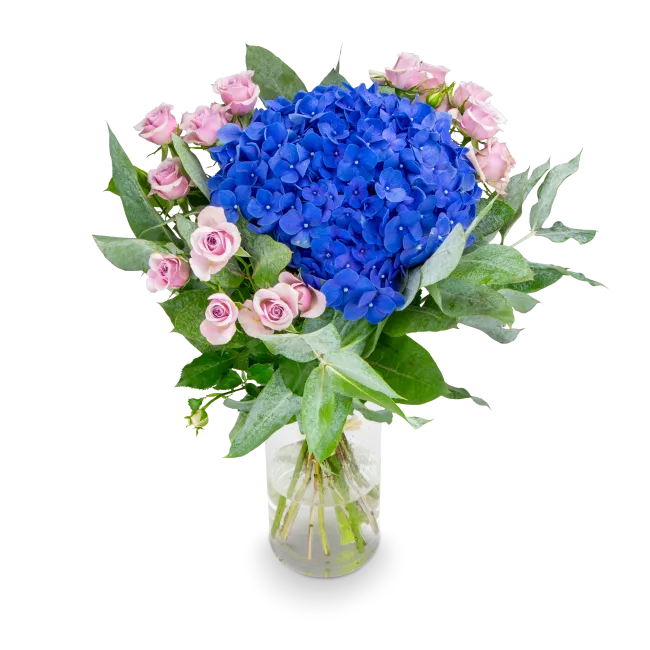 Bouquet of hydrangeas and spray roses